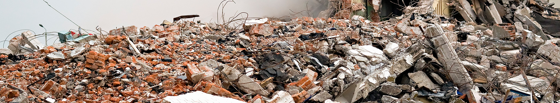 프로환경개발 PC 비주얼 0